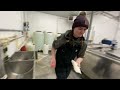 Goat milking | Westmeadow Farm and Dairy