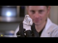 Dissecting Hearts With Liquid Nitrogen