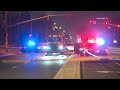 Driver Flees After Hitting and Killing Pedestrian