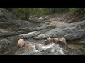 4K HDR Forest Stream - Relaxing River Sounds - No Birds - Natural White Noise - Relax/ Sleep/ Study