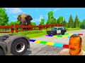 Long Cars vs Funny Cars and Big & Small Cars and MCqueen Snake Rescue Cars - BeamNG Drive