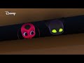 Miraculous | Amoureux | Disney Channel BE