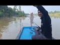 TARGET IKAN MAHAL.! BERTAHAN TEMBUS PAGI MEMANCING DI ATAS BOT || SPOT SUNGAI DI HUTAN MASIH POTENSI