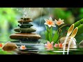 Relaxing Piano Music & Water Sounds 24/7 - Relieves Stress, Anxiety and Depression, Calm Music