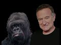 Robin Williams Meets Koko the Gorilla