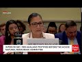 'Did You Know, Madam Secretary, That You Could Be Breaking The Law?': Tom Tiffany Grills Deb Haaland