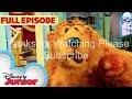 Logo History #8 Harry and His BucketFull of Dinosaurs Portrayed By Bear In The Big Blue House