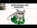 witermelon cat moment ‼️‼️💯💯✈️✈️🏢🏢 #memezeeart