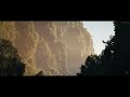 Virtual Jungle River | UE5 [4K]