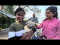 Labrador Puppy Sell Only 2700 Rupees। Dog Market Serampore। Serampore Pet Market।