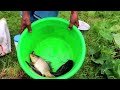 Fishing ✅️||Big fish are being caught in village canal with hook and small fish bait ||Hook fishing