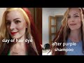 Purple Shampoo Before and After on Yellow & Brassy Hair // I left it in for an hour!!