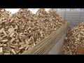 The Firewood Processing Factory / Firewood Production Line / Firewood Processor
