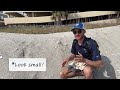 The BEST WAY to Find Shark Teeth in Myrtle Beach! (Paleontologist Approved!)