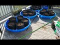 Building of My Self Watering Kiddie Pool Gardening System