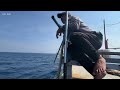 Lưới rút ngày cá ngừ đại dương theo dù và đánh lưới - Dân Biển