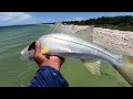 Fort DeSoto Park ( what to fish for during the summer)