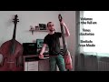 NTX Electric Upright Bass (NS Design) - Demonstration | Alexandre Piazza