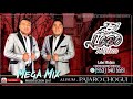 LOBO MIXTECO* MEGA MIX DEL ALBUM PAJARO CHOGUI | PRODUCCION 2017