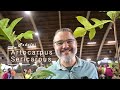 Rare fruit hunting at the Big Island Assoc. of Nurserymen 43rd Annual Plant show