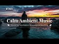 Calm Ambient Music for Stress Relief II • Music for Meditation and Sleeping [ 2 HOURS ] 🌊🦋🤍