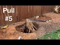 How to Remove a Stump Using a Hand Winch