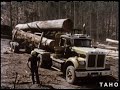 Fools Rush In aka Logging (1983)