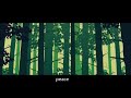 Maiple - Forest (Danny Pitcher Edit)