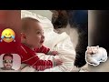 Funny Cats Video part 02 | Cats Stories #cat #catlover