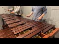 Maple Story OST - Temple of Time / Pulse Marimba Cover