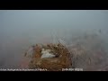 Madrigal storm destroys nest. - Una tormenta destruye el nido de cigüeñas en Madrigal.