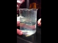 Liquid Fertilizer lab pH Change