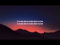 Alec Benjamin - Let Me Down Slowly (Lyrics)