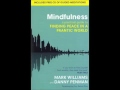 Mindfulness Meditation   Listening & thoughts
