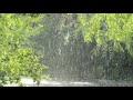 relaxing rain for stress relief|rain sound for sleep|rain sound at 30 minutes