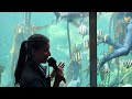 S1 – Ep 446 – Two Oceans Aquarium Cape Town!