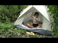 TIMELAPSE; 365 DAY SOLO SURVIVAL IN THE RAIN FOREST - RELAXING ENJOY THE SOUNDS OF NATURE ASMR