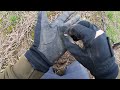 METAL DETECTING ROMAN FIELDS FULL OF ANCIENT COINS