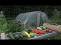 DIY Metal Hoop House Build │ Simple High Tunnel Greenhouse