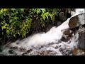 1 Hours Relaxing Sounds of Water Stream, Nature White Noise - Calming Sleeping, Insomnia