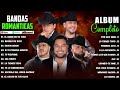 Grupo Frontera, Julion Alvarez, Carin Leon, Calibre 50, Banda MS Exitos Mix 2024 | Bandas Romanticas
