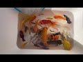 Unbelievable Catch Frogs, Koi, Crayfish, Guppies, Betta Fish, Surprise Colorful Eggs | Fishing Video
