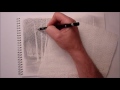 How To Draw Landscapes, Trees, Grass, Foliage, Water, Using Graphite pencils