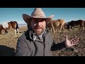 3 Ways to Become a Rancher ( 2 are EASY! )