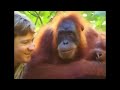 Crocodile Hunter Steve Irwin Has Emotional Encounter With Mother Orangutan.
