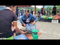 Harvesting natural stream snails to sell at the market and how to make bean sprouts at the farm