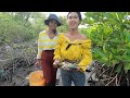 Brave Women Catch Huge Mud Crabs In Muddy after Water Low Tide