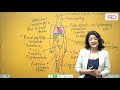 Sickle Cell Disease: Pathophysiology || Back to Basics || Dr. Shonali Chandra