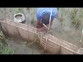 Bahadur Bhai's fishing scene with Darki।। village fishing।। nature fishing