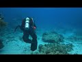 Key Largo, Florida Diving - The Molasses Reef - and Blue Heron Bridge